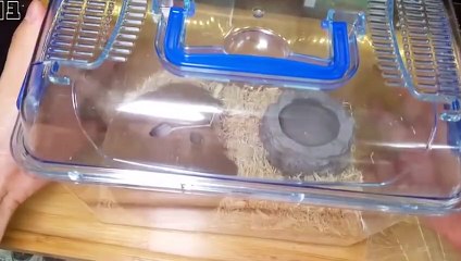 유성지구출장안마 -후불100%∭Ø7Øc7575kØØ54｛카톡GD951}유성지구전지역출장마사지샵'예약'유성지구출장nØ안마dv유성지구출장안마cØs여Ø유성지구마사지황형 유성지구콜걸