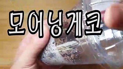 화천출장안마 -후불100%∭Ø7Øn8782v38ØØ｛카톡FFFKKK｝화천전지역출장마사지샵'예약'화천출장nq안마Øv화천출장안마cØs여Ø화천마사지황형 화천20대