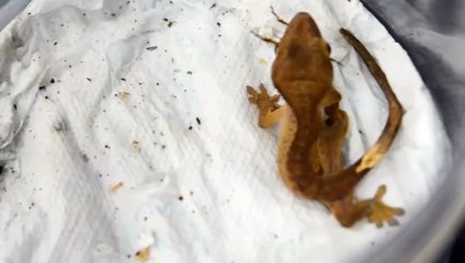 청량리출장안마 -후불100%∭ Ø7Øq5222w78Ø2｛카톡11982｝청량리전지역출장마사지샵'예약'청량리출장Øq안마dv청량리출장안마coe여3청량리마사지황형 청량리모텔