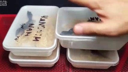 곤지암출장안마 -후불100%∭Ø7Øc7575zØØ69｛카톡MGM1472}곤지암전지역출장마사지샵'예약'곤지암출장nØ안마dv곤지암출장안마cØs여Ø곤지암마사지황형 곤지암만남