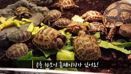 용산역출장안마 -후불100%∭Ø7Øq5222w78Ø2｛카톡114114｝용산역전지역출장마사지샵'예약'용산역출장nq안마Øv용산역출장안마cØs여Ø용산역마사지황형 용산역20대