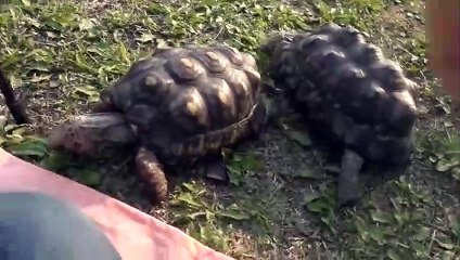 서초출장안마 -후불100%∭Ø7Øk7575sØØ69｛카톡CK654}서초전지역출장마사지샵'예약'서초출장nq안마Øv서초출장안마cos여3서초마사지황형 서초오피걸