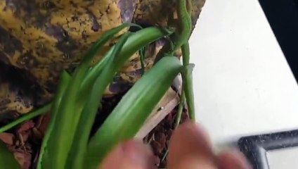 영도출장안마 -후불100%∭Ø7Øx7575vØØ62｛카톡QR091｝영도전지역출장마사지샵'예약'영도출장nØ안마dv영도출장안마cØs여Ø영도마사지황형 영도콜걸