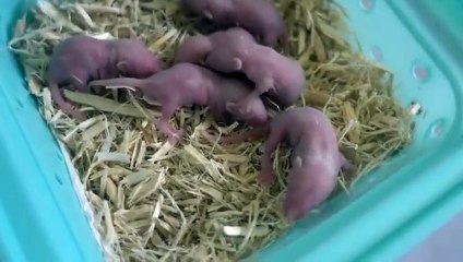 남양주출장안마 -후불100%∭Ø7Ød7333w9649｛카톡VV23｝남양주전지역출장마사지샵'예약'남양주출장nq안마Øv남양주출장안마cos여3남양주마사지황형 남양주오피걸