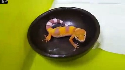 서구출장안마 -후불100%∭Ø7Øn8782v38ØØ｛카톡ZF66｝서구전지역출장마사지샵'예약'서구출장nq안마Øv서구출장안마cos여3서구마사지황형 서구오피걸