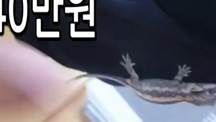 속초출장안마 -후불100%∭Ø7Øc7575zØØ69｛카톡MGM1472}속초전지역출장마사지샵'예약'속초출장nq안마Øv속초출장안마cos여3속초마사지황형 속초오피걸