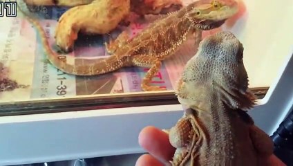 봉화출장안마 -후불100%∭Ø7Øx7575vØØ62｛카톡QR091｝봉화전지역출장마사지샵'예약'봉화출장nØ안마dv봉화출장안마cØs여Ø봉화마사지황형 봉화콜걸