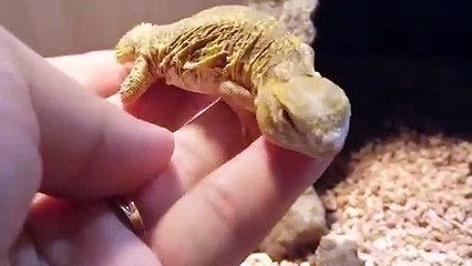 경기출장안마 -후불100%∭Ø7Øc7575kØØ54｛카톡GD951}경기전지역출장마사지샵'예약'경기출장nq안마Øv경기출장안마cos여3경기마사지황형 경기오피걸