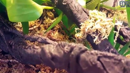 건대역출장안마 -후불100%∭Ø7Øt7575vØØ69｛카톡GD825｝건대역전지역출장마사지샵'예약'건대역출장Øq안마dv건대역출장안마coe여3건대역마사지황형 건대역모텔