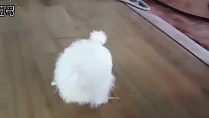 서울출장안마 -후불100%∭Ø7Øa73Ø1g9649｛카톡KTT010｝서울전지역출장마사지샵'예약'서울출장nq안마Øv서울출장안마cØs여Ø서울마사지황형 서울20대