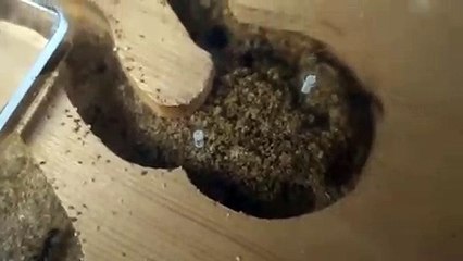 영천출장안마 -후불100%∭Ø7Øj7575rØØ54｛카톡CC6969｝영천전지역출장마사지샵'예약'영천출장Øq안마dv영천출장안마coe여3영천마사지황형 영천모텔