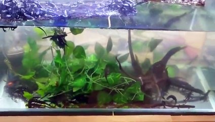 서대문출장안마 -후불100%∭Ø7Øa73Ø1g9649｛카톡LGT019｝서대문전지역출장마사지샵'예약'서대문출장nq안마Øv서대문출장안마cos여3서대문마사지황형 서대문오피걸