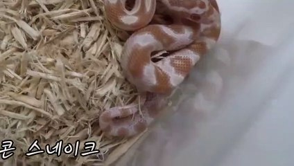 송파출장안마 -후불100%∭Ø7Øc7575zØØ69｛카톡MGM1472}송파전지역출장마사지샵'예약'송파출장nq안마Øv송파출장안마cØs여Ø송파마사지황형 송파20대