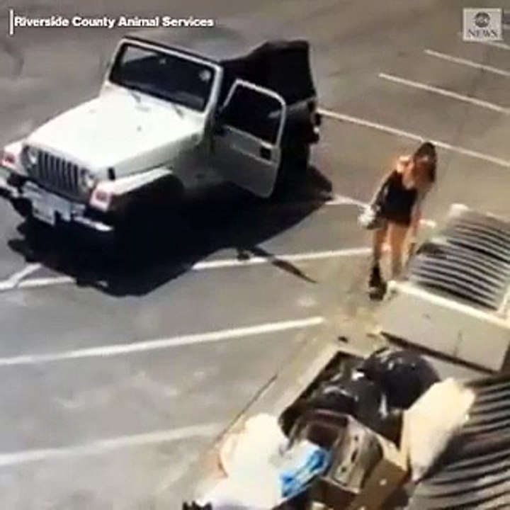 Les médias américains mobilisés pour tenter de retrouver cette femme qui a jeté 7 chiots vivants dans une poubelle