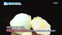 [HEALTH] 'Cabbage' is the answer to stomach diseases!,기분 좋은 날20190423