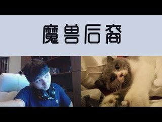 【魔兽后裔】青钢影开局被嘲讽后carry全场，超凶28杀捶爆小朋友