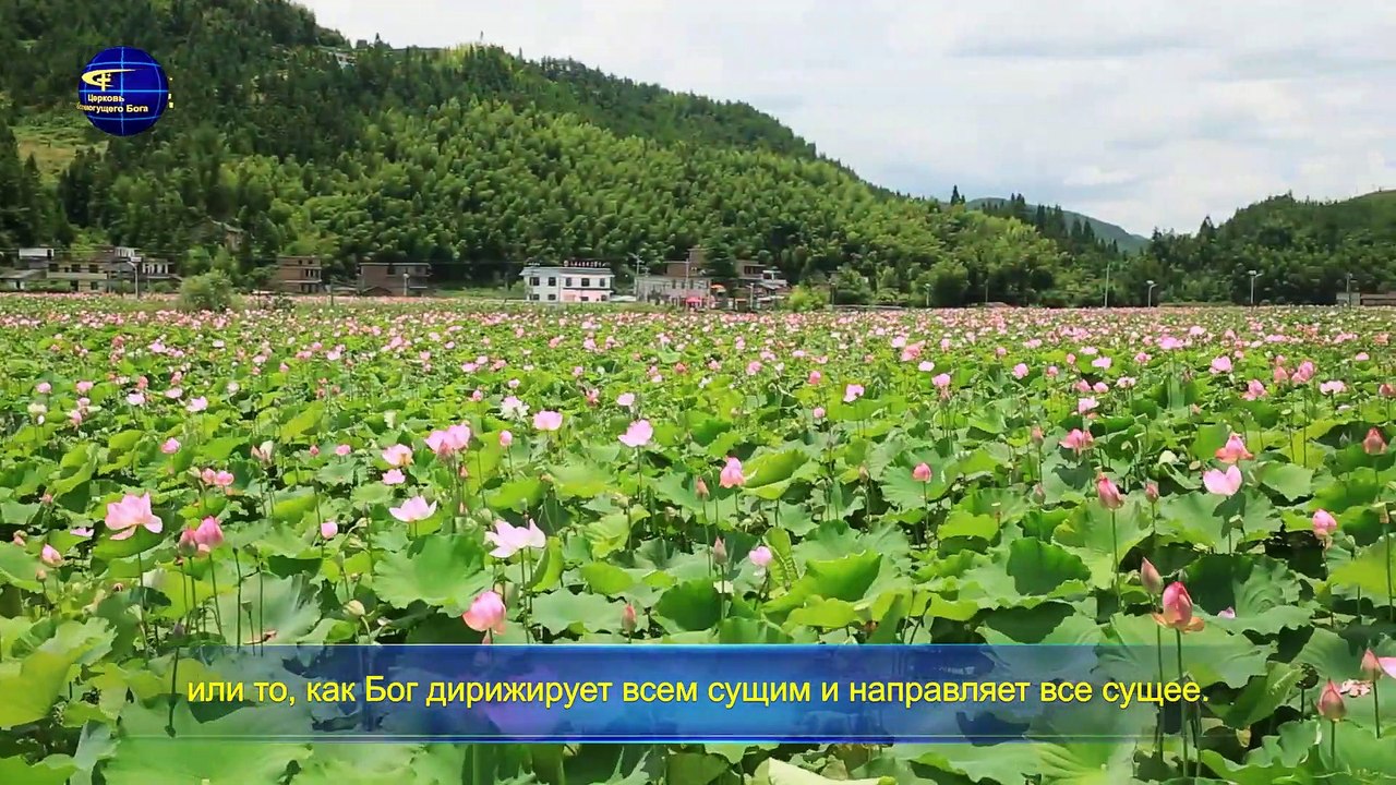 Слово Всемогущего Бога «Бог – источник жизни человека» (Отрывок)