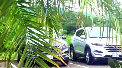 Things we see in Costa Rica #10