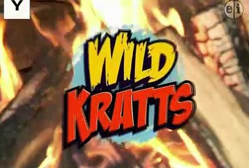 Wild Kratts - Masked Bandits