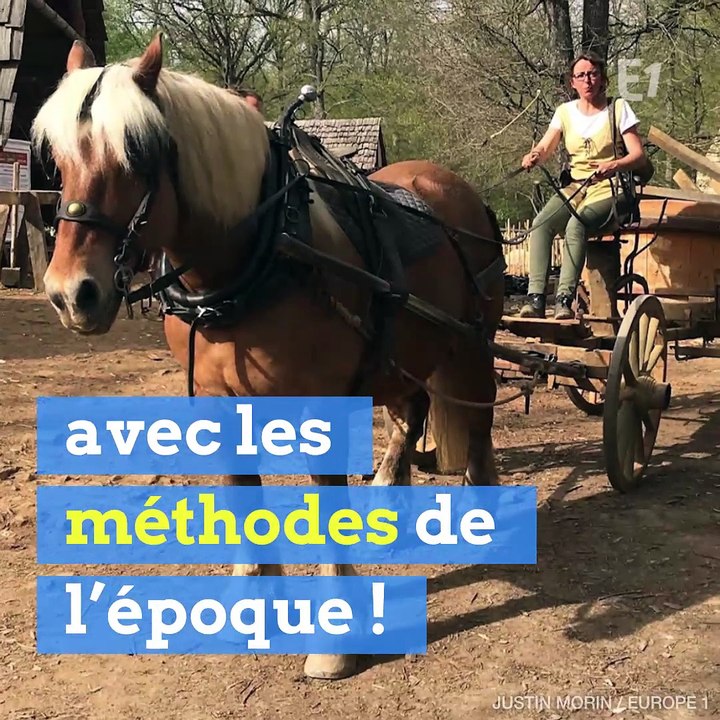 Dans ce château, des bâtisseurs travaillent comme les artisans du Moyen-Age