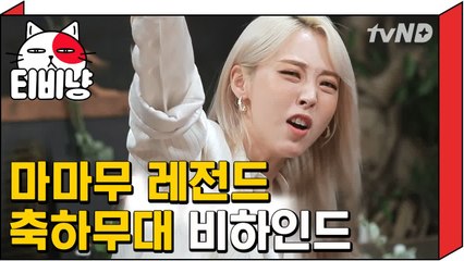 [티비냥] 마마무의 시상식 축하무대 정우성 애드립 비하인드 썰 | 인생술집 190314 #1