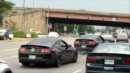Mustang gone wild