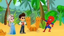 Paw Patrol aimez jouer au basket avec Groovy Le Martien à SuperZoo - Dessins animés pour les enfants et des chansons