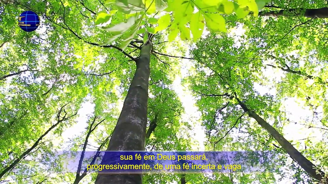 A palavra de Deus Todo-Poderoso "Conhecer Deus é a senda para temer a Deus e evitar o mal"