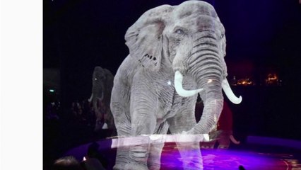 Des animaux en hologrammes dans les cirques !