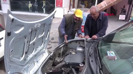 Erzincan Yaralı Kediyi Kurtarma Seferberliği