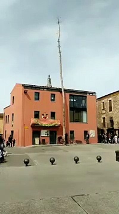 Chute d'un arbre vs Spectateurs chanceux