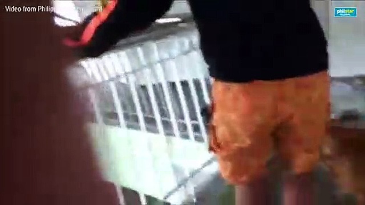 Rescue dog finds survivor and victim in a collapsed building in Porac Town