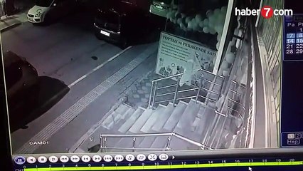 Köpek çetesine tek başına kafa tutan kedi! - Video 7