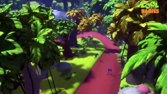 Zool Bébés Série - Bébé Requin De Sauvetage Épisode | Dessins Animés Pour Les Enfants | Videogyan Kids Montre |