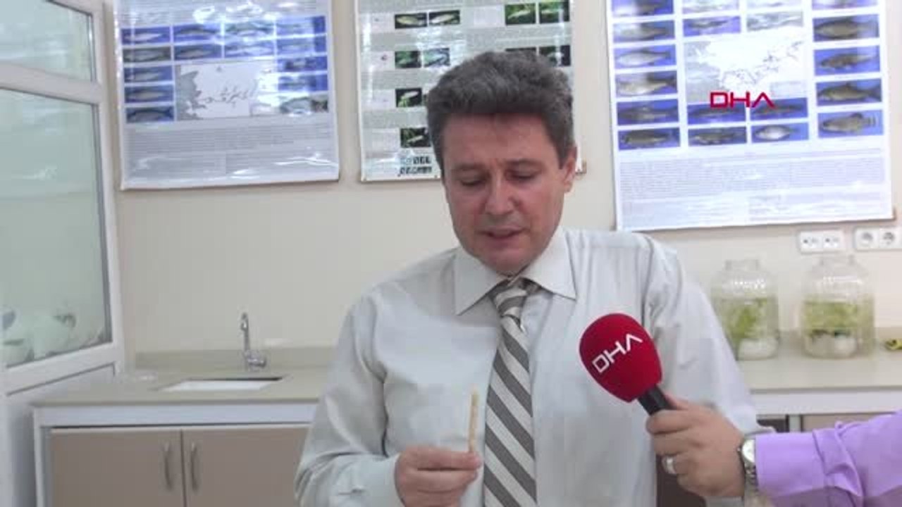 Isparta Gerçek Balıktan, Kraker Üretildi