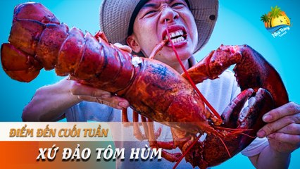 [ĐIỂM ĐẾN CUỐI TUẦN] - Ăn thả ga hải sản tại "Đảo Tôm Hùm" hoang sơ thơ mộng | NHA TRANG TRAVEL
