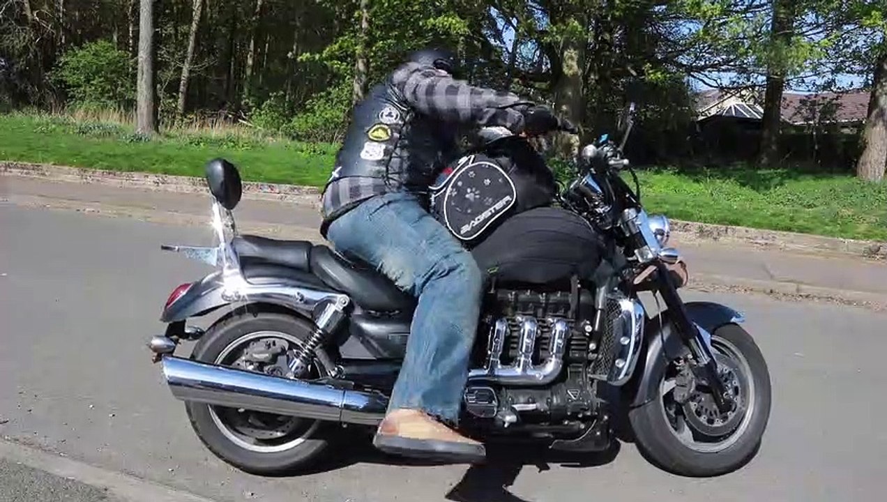 Adventurous Jack Russell loves nothing more than the feel of the wind in her fur as she travels on her owner's motorbike