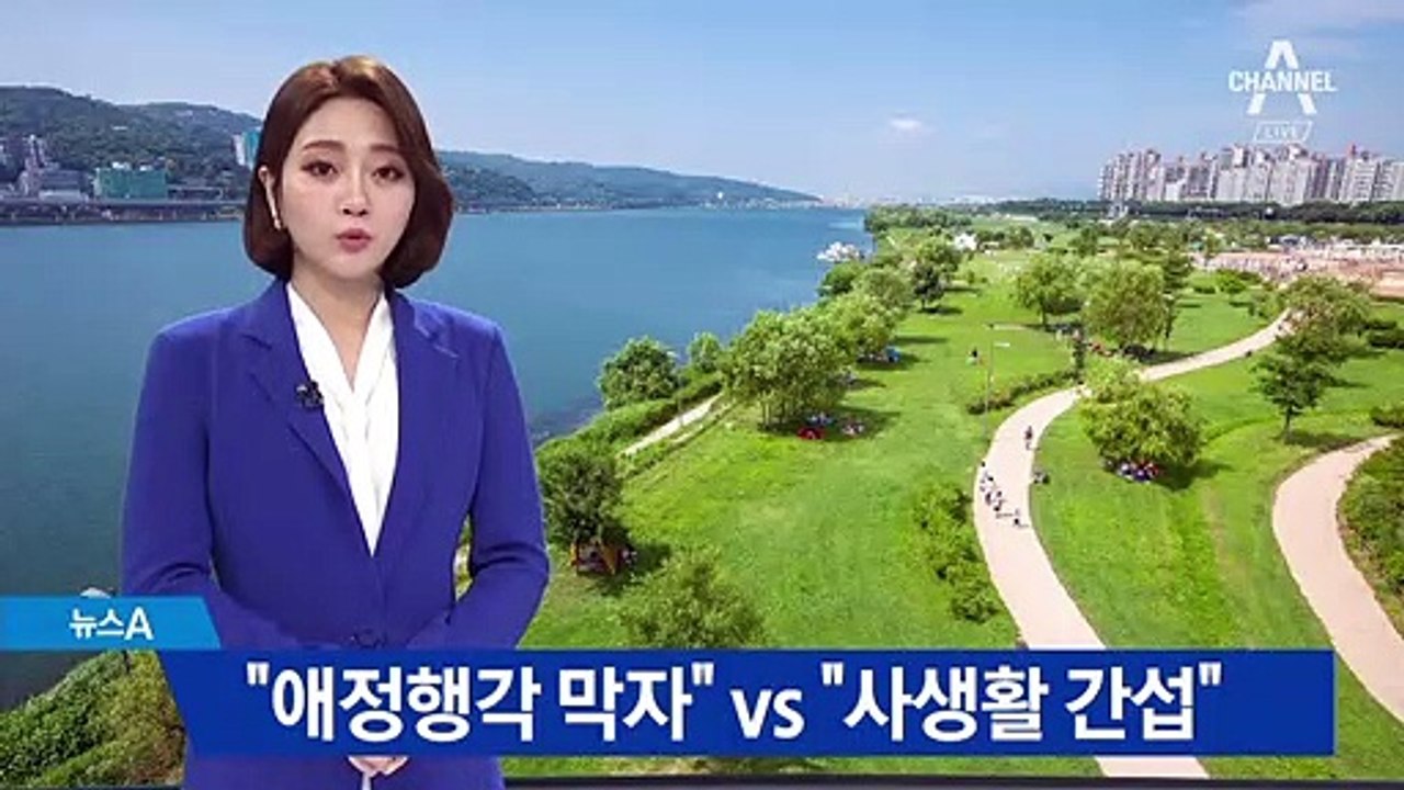 “애정행각 막자” vs “사생활 간섭”…한강공원 텐트 단속 공방