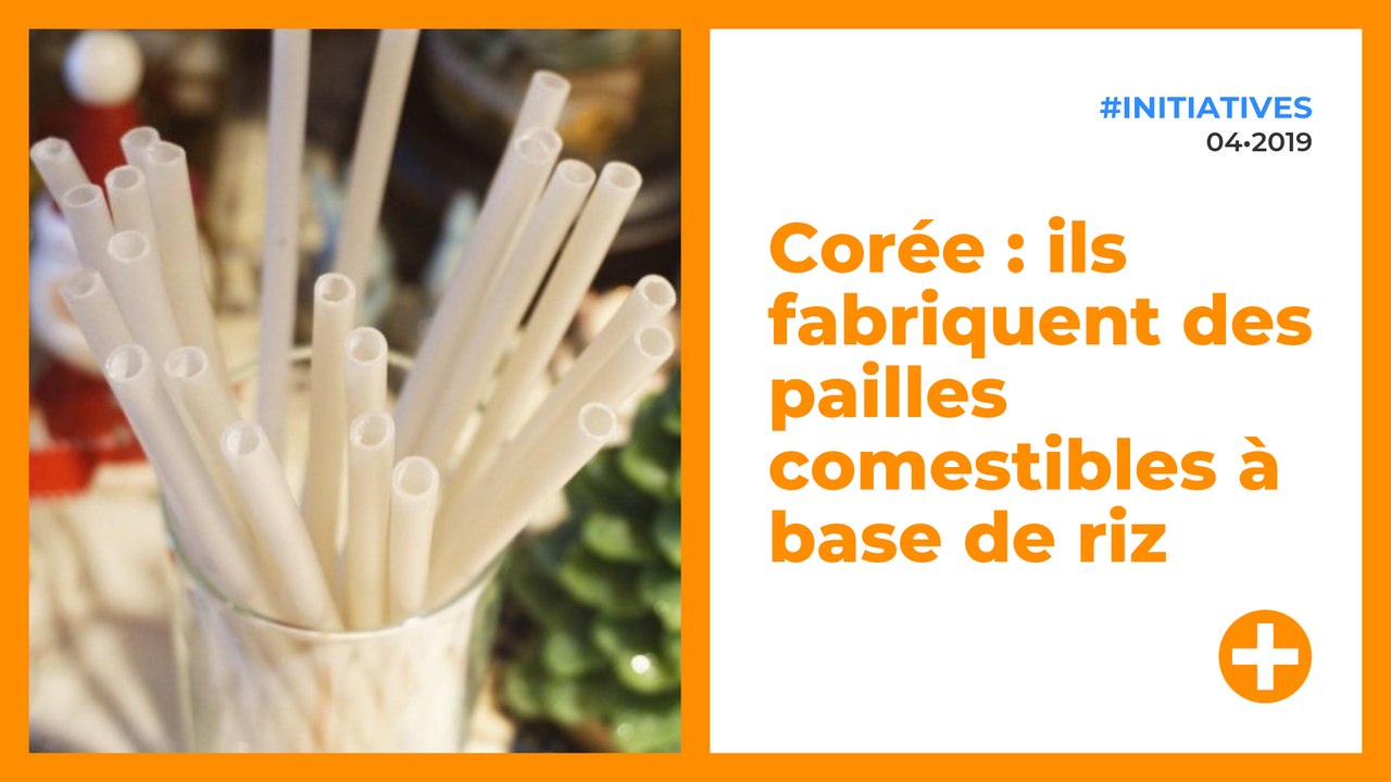 Corée : ils fabriquent des pailles comestibles à base de riz