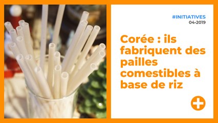 Corée : ils fabriquent des pailles comestibles à base de riz
