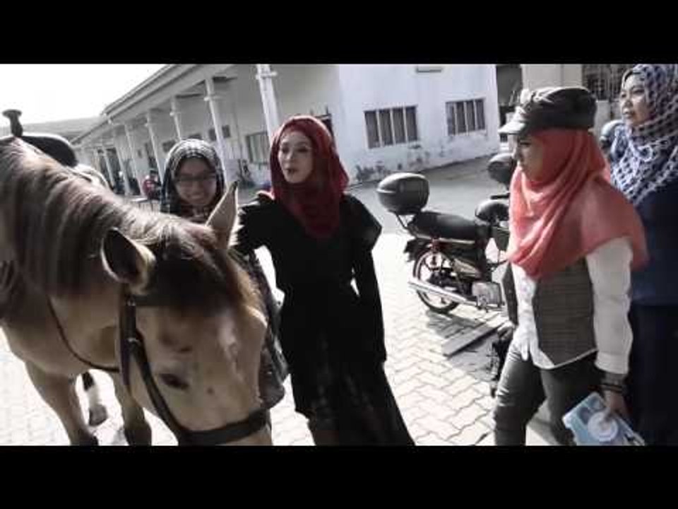 Di Sebalik Tabir Adira