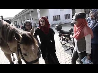 Di Sebalik Tabir Adira