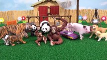 Animaux de la Ferme les Jouets de Bébé de Trouver Maman - Apprendre les Noms d'Animaux et des Sons de Jouets Éducatifs pour Enfants