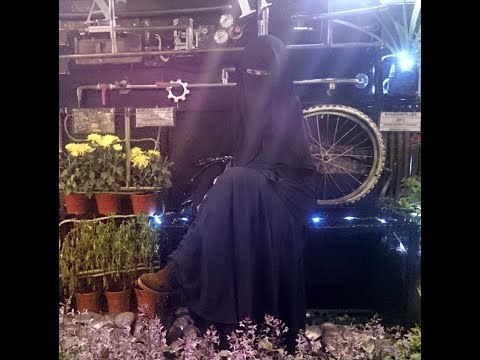 Pesakit Dr. Ganja mahu kerajaan kaji ganja dalam perubatan