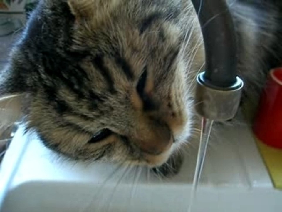 Baboo au robinet