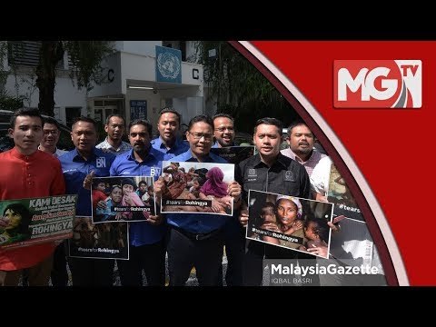 Pemuda BN serah memorandum desak PBB campur tangan