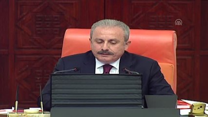 TBMM 23 Nisan Özel Oturumu - CHP Grup Başkanvekili Özkoç