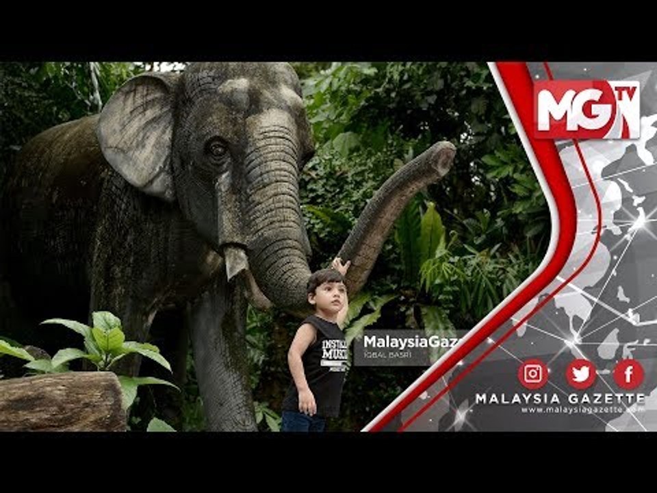 TERKINI : Cuti Raya Aidilfitri Zoo Negara Jadi Tumpuan