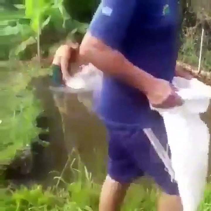 Cet homme n'a fait qu'agiter un peu l'eau et les poissons se mettaient à se jeter en dehors du lac