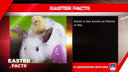 UNTOLD EASTER FACTS: Let us spread the Easter love!